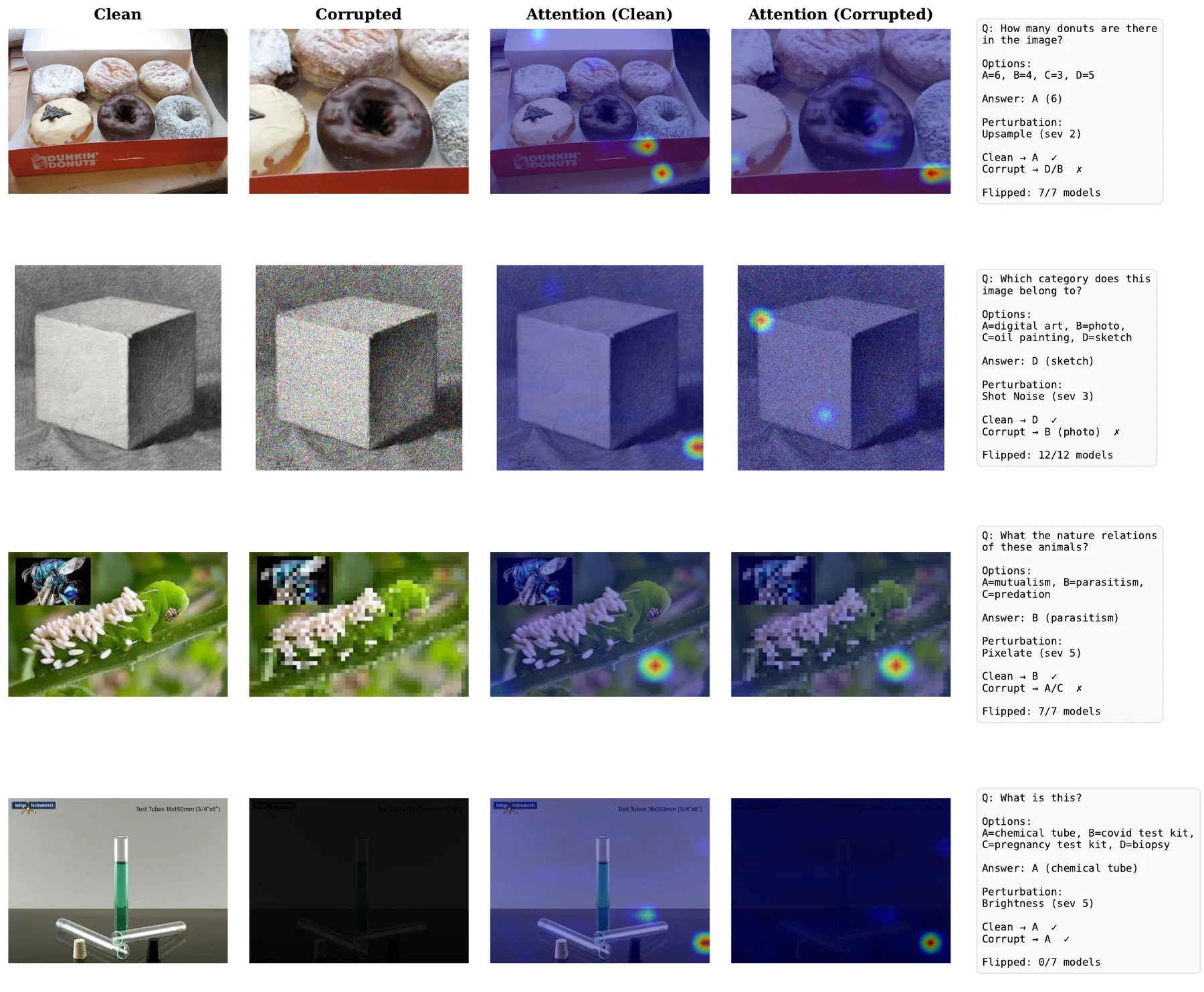 Qualitative examples of VLM prediction changes under visual corruptions.